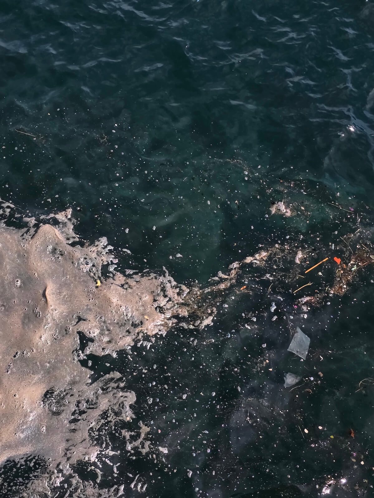 Ocean pollution affecting marine life